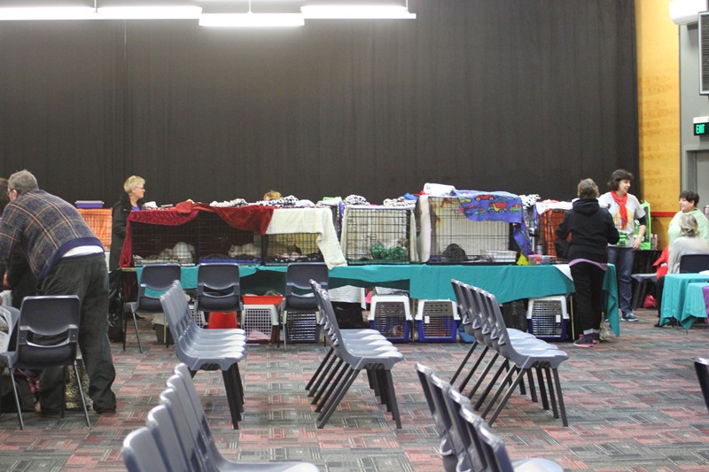 Riverside Cat Show